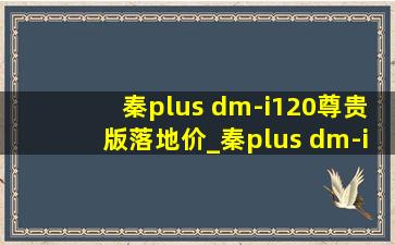 秦plus dm-i120尊贵版落地价_秦plus dm-i120尊贵版落地价格